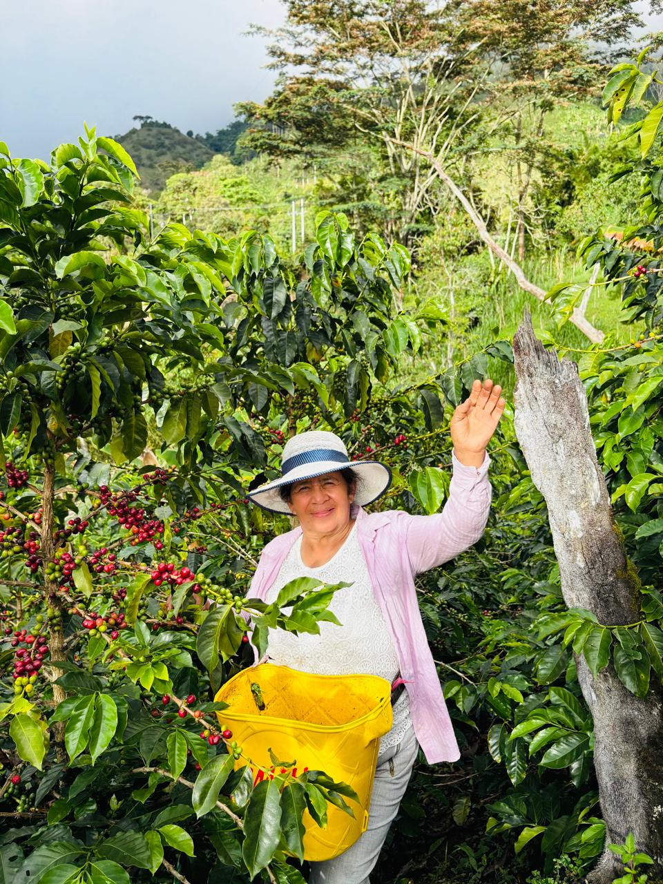 Manos de mujer sosteniendo café pergamino