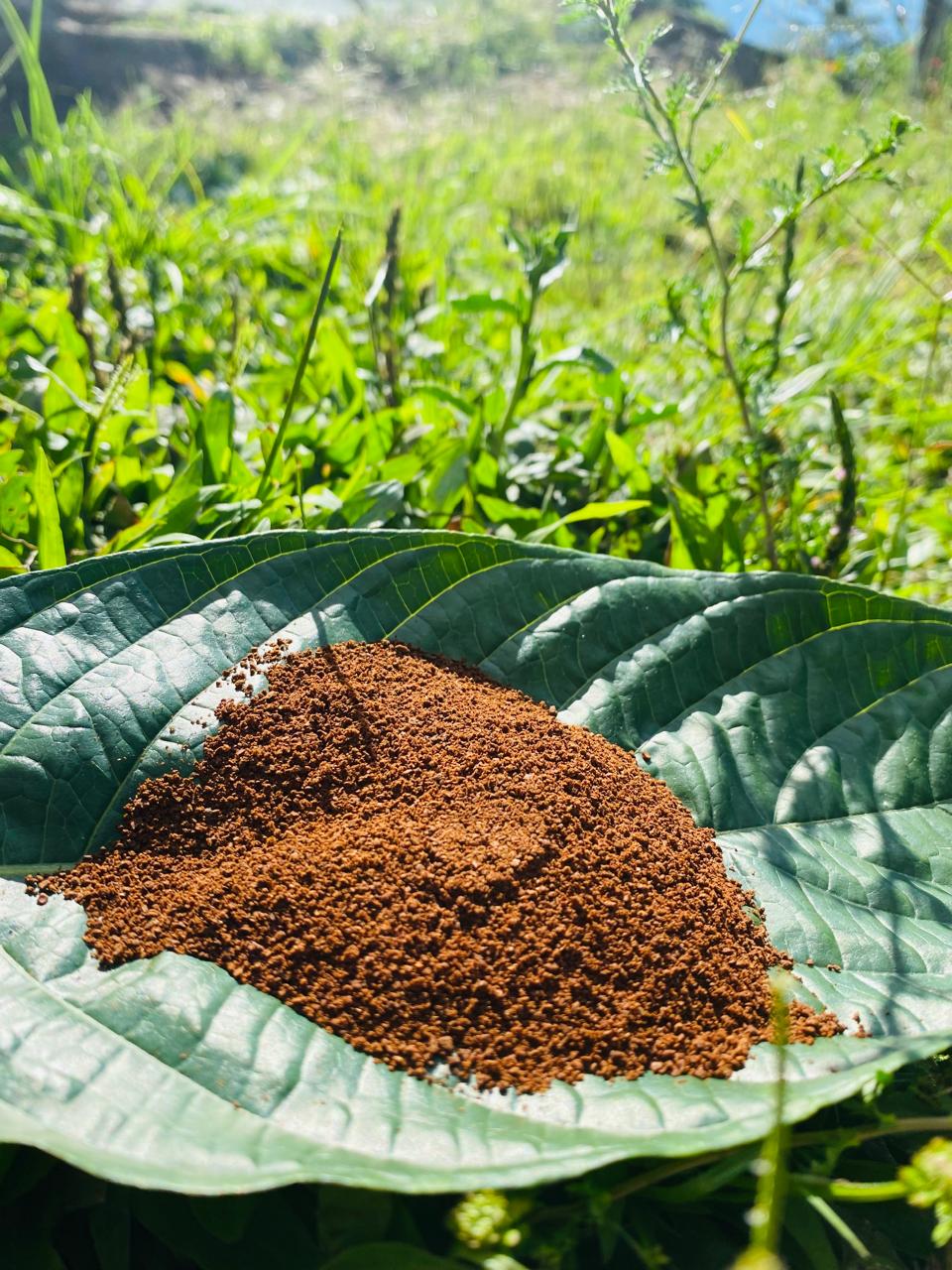 Café molido sobre una hoja verde grande